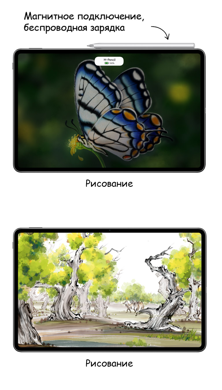 Huawei MatePad Pro 12,6